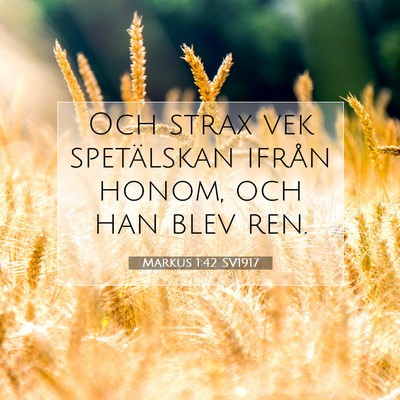Picture 07 - Markus 1:42 SV1917 - Och strax vek spetälskan ifrån honom, och han - Bible Verse Picture