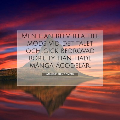 Picture 07 - Markus 10:22 SV1917 - Men han blev illa till mods vid det talet och - Bible Verse Picture