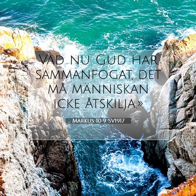 Picture 07 - Markus 10:9 SV1917 - Vad nu Gud har sammanfogat, det må människan - Bible Verse Picture