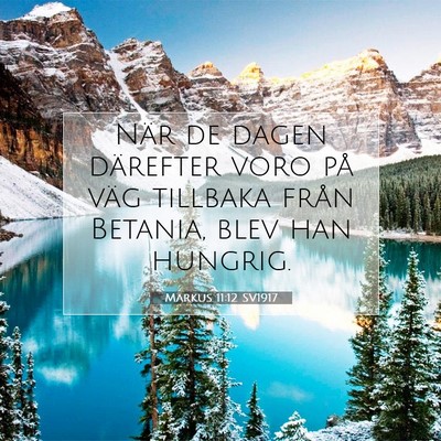 Picture 07 - Markus 11:12 SV1917 - När de dagen därefter voro på väg tillbaka - Bible Verse Picture