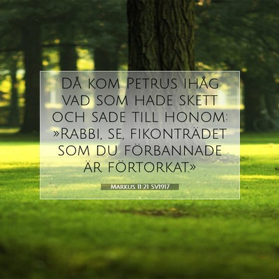 Picture 07 - Markus 11:21 SV1917 - Då kom Petrus ihåg vad som hade skett och sade - Bible Verse Picture