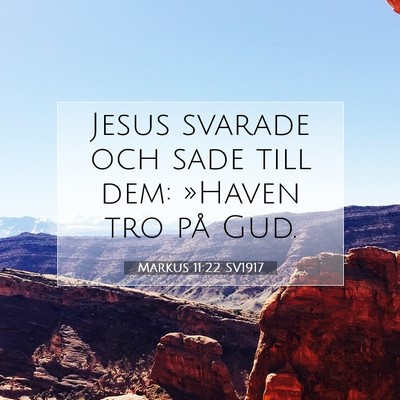 Picture 07 - Markus 11:22 SV1917 - Jesus svarade och sade till dem: »Haven tro på - Bible Verse Picture