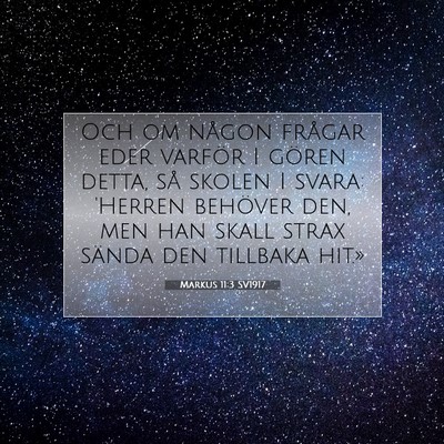 Picture 07 - Markus 11:3 SV1917 - Och om någon frågar eder varför I gören - Bible Verse Picture