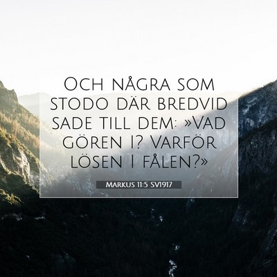Picture 07 - Markus 11:5 SV1917 - Och några som stodo där bredvid sade till dem: - Bible Verse Picture