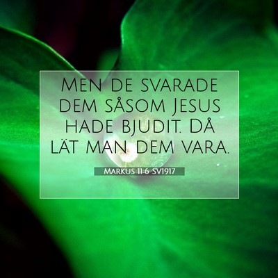 Picture 07 - Markus 11:6 SV1917 - Men de svarade dem såsom Jesus hade bjudit. Då - Bible Verse Picture