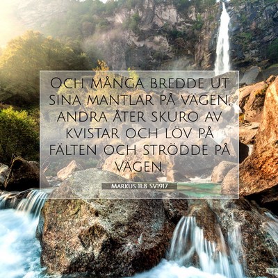 Picture 07 - Markus 11:8 SV1917 - Och många bredde ut sina mantlar på vägen, - Bible Verse Picture