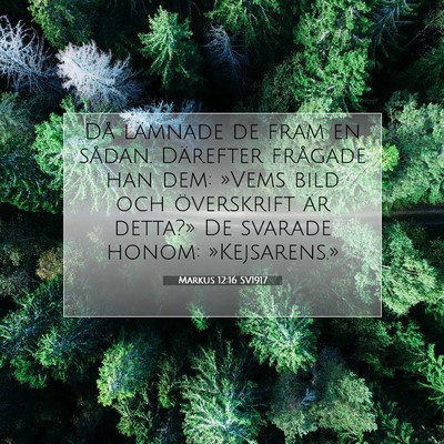Picture 07 - Markus 12:16 SV1917 - Då lämnade de fram en sådan. Därefter - Bible Verse Picture