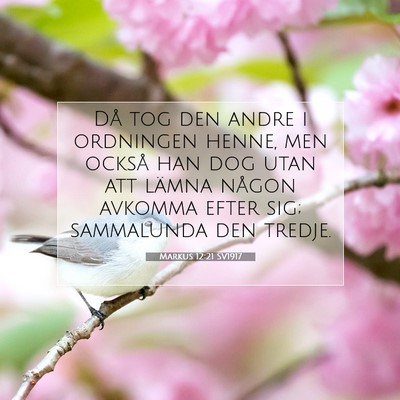 Picture 07 - Markus 12:21 SV1917 - Då tog den andre i ordningen henne, men också - Bible Verse Picture