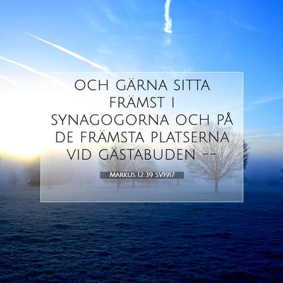 Picture 07 - Markus 12:39 SV1917 - och gärna sitta främst i synagogorna och på de - Bible Verse Picture