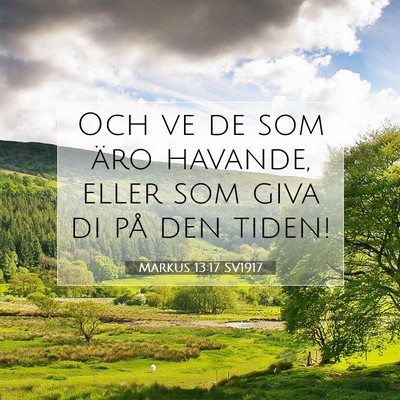 Picture 07 - Markus 13:17 SV1917 - Och ve de som äro havande, eller som giva di på - Bible Verse Picture