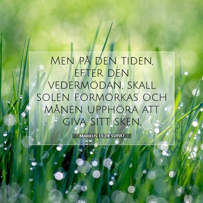 Picture 07 - Markus 13:24 SV1917 - Men på den tiden, efter den vedermödan, skall - Bible Verse Picture