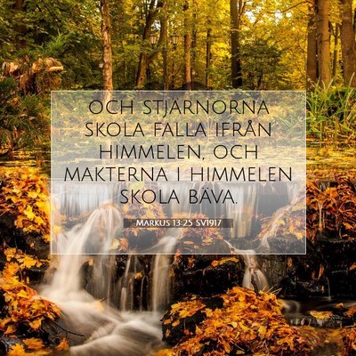 Picture 07 - Markus 13:25 SV1917 - och stjärnorna skola falla ifrån himmelen, och - Bible Verse Picture