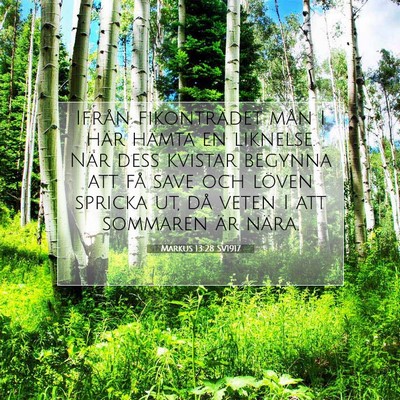 Picture 07 - Markus 13:28 SV1917 - Ifrån fikonträdet mån I här hämta en - Bible Verse Picture