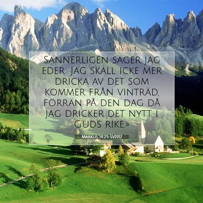 Picture 07 - Markus 14:25 SV1917 - Sannerligen säger jag eder: Jag skall icke mer - Bible Verse Picture