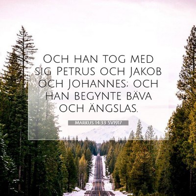 Picture 07 - Markus 14:33 SV1917 - Och han tog med sig Petrus och Jakob och - Bible Verse Picture