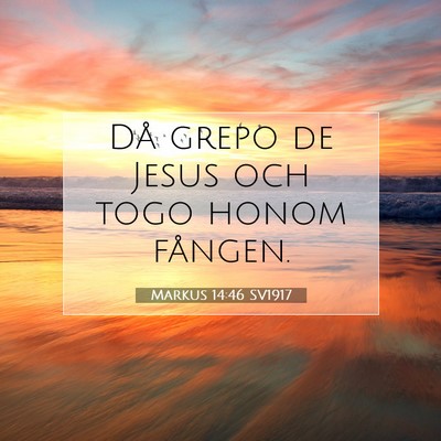 Picture 07 - Markus 14:46 SV1917 - Då grepo de Jesus och togo honom - Bible Verse Picture