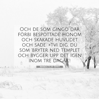 Picture 07 - Markus 15:29 SV1917 - Och de som gingo där förbi bespottade honom och - Bible Verse Picture