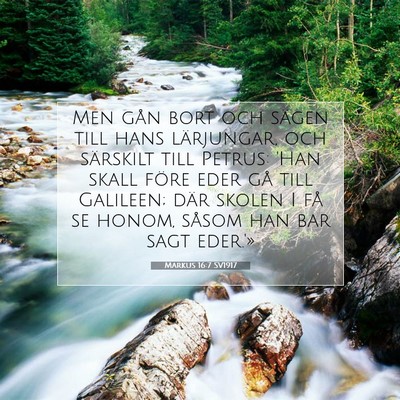 Picture 07 - Markus 16:7 SV1917 - Men gån bort och sägen till hans lärjungar, - Bible Verse Picture
