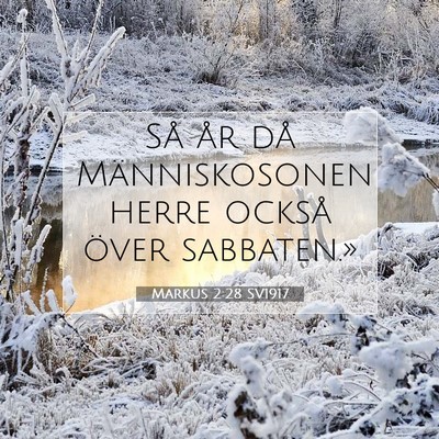 Picture 07 - Markus 2:28 SV1917 - Så år då Människosonen herre också över - Bible Verse Picture