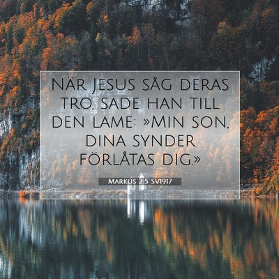 Picture 07 - Markus 2:5 SV1917 - När Jesus såg deras tro, sade han till den - Bible Verse Picture
