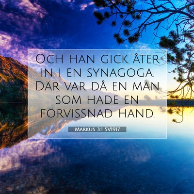 Picture 07 - Markus 3:1 SV1917 - Och han gick åter in i en synagoga. Där var då - Bible Verse Picture