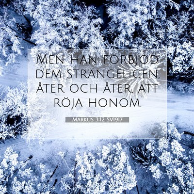 Picture 07 - Markus 3:12 SV1917 - Men han förbjöd dem strängeligen, åter och - Bible Verse Picture
