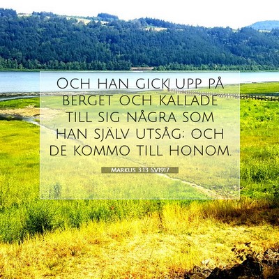 Picture 07 - Markus 3:13 SV1917 - Och han gick upp på berget och kallade till sig - Bible Verse Picture