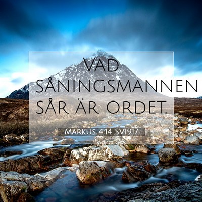 Picture 07 - Markus 4:14 SV1917 - Vad såningsmannen sår är - Bible Verse Picture