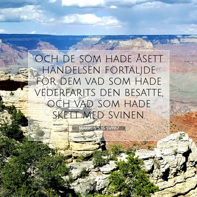 Picture 07 - Markus 5:16 SV1917 - Och de som hade åsett händelsen förtäljde - Bible Verse Picture