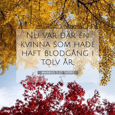 Picture 07 - Markus 5:25 SV1917 - Nu var där en kvinna som hade haft blodgång i - Bible Verse Picture