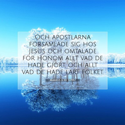 Picture 07 - Markus 6:30 SV1917 - Och apostlarna församlade sig hos Jesus och - Bible Verse Picture