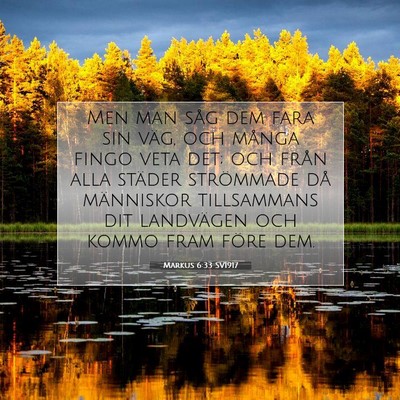 Picture 07 - Markus 6:33 SV1917 - Men man såg dem fara sin väg, och många fingo - Bible Verse Picture
