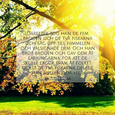 Picture 07 - Markus 6:41 SV1917 - Därefter tog han de fem bröden och de två - Bible Verse Picture