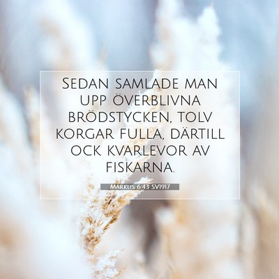 Picture 07 - Markus 6:43 SV1917 - Sedan samlade man upp överblivna brödstycken, - Bible Verse Picture