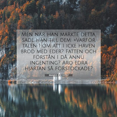 Picture 07 - Markus 8:17 SV1917 - Men när han märkte detta, sade han till dem: - Bible Verse Picture