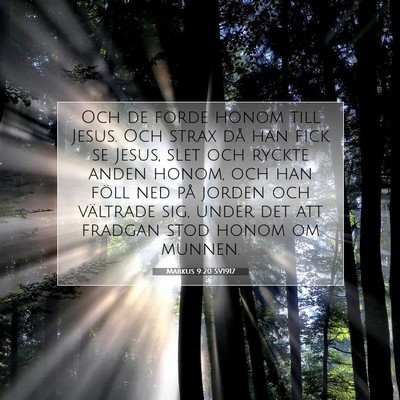 Picture 07 - Markus 9:20 SV1917 - Och de förde honom till Jesus. Och strax då han - Bible Verse Picture