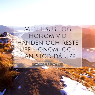Picture 07 - Markus 9:27 SV1917 - Men Jesus tog honom vid handen och reste upp - Bible Verse Picture