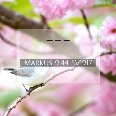Picture 07 - Markus 9:44 SV1917 -  - Bible Verse Picture