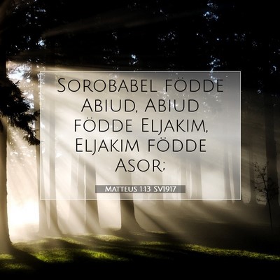 Picture 07 - Matteus 1:13 SV1917 - Sorobabel födde Abiud, Abiud födde Eljakim, - Bible Verse Picture