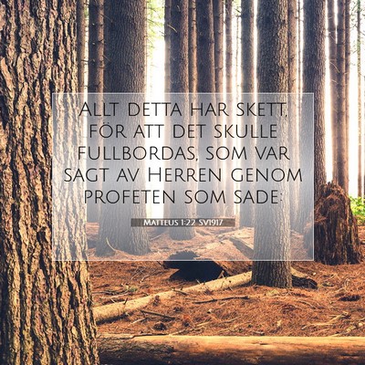 Picture 07 - Matteus 1:22 SV1917 - Allt detta har skett, för att det skulle - Bible Verse Picture