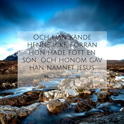 Picture 07 - Matteus 1:25 SV1917 - Och han kände henne icke, förrän hon hade - Bible Verse Picture
