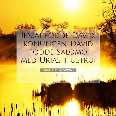 Picture 07 - Matteus 1:6 SV1917 - Jessai födde David, konungen, David födde - Bible Verse Picture