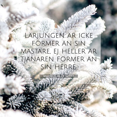 Picture 07 - Matteus 10:24 SV1917 - Lärjungen är icke förmer än sin mästare, ej - Bible Verse Picture