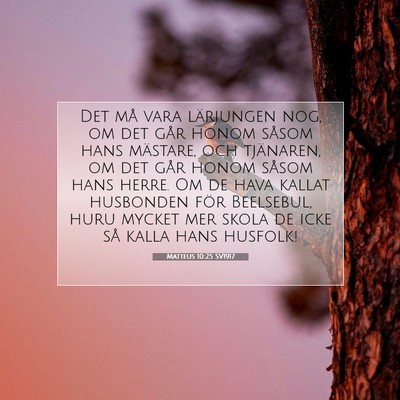 Picture 07 - Matteus 10:25 SV1917 - Det må vara lärjungen nog, om det går honom - Bible Verse Picture