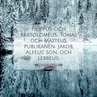 Picture 07 - Matteus 10:3 SV1917 - Filippus och Bartolomeus; Tomas och Matteus, - Bible Verse Picture