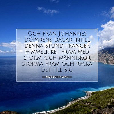 Picture 07 - Matteus 11:12 SV1917 - Och från Johannes döparens dagar intill denna - Bible Verse Picture