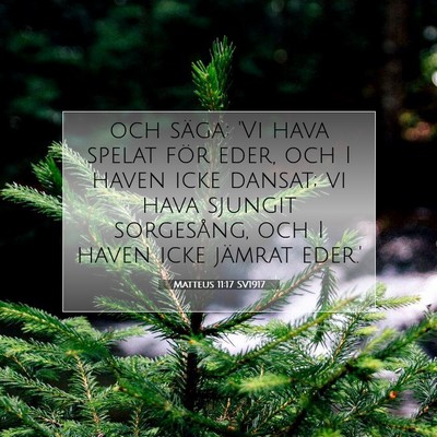 Picture 07 - Matteus 11:17 SV1917 - och säga: 'Vi hava spelat för eder, och I haven - Bible Verse Picture
