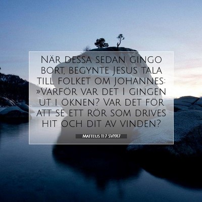 Picture 07 - Matteus 11:7 SV1917 - När dessa sedan gingo bort, begynte Jesus tala - Bible Verse Picture