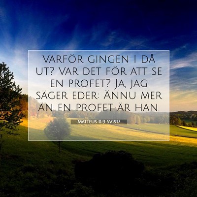 Picture 07 - Matteus 11:9 SV1917 - Varför gingen I då ut? Var det för att se en - Bible Verse Picture