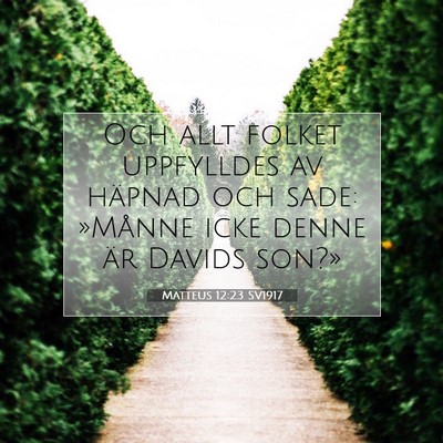 Picture 07 - Matteus 12:23 SV1917 - Och allt folket uppfylldes av häpnad och sade: - Bible Verse Picture